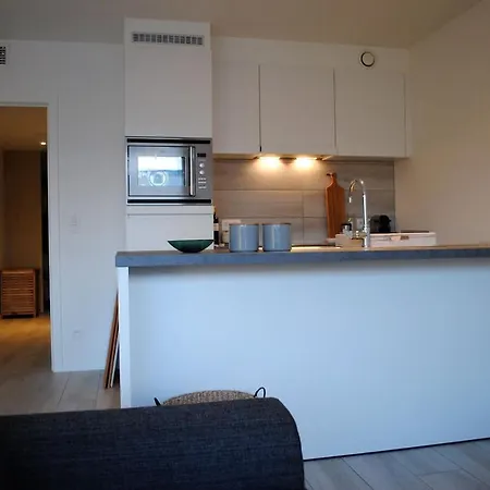 Appartement Modern, Gezellig Met Ruim Terras En Garage In