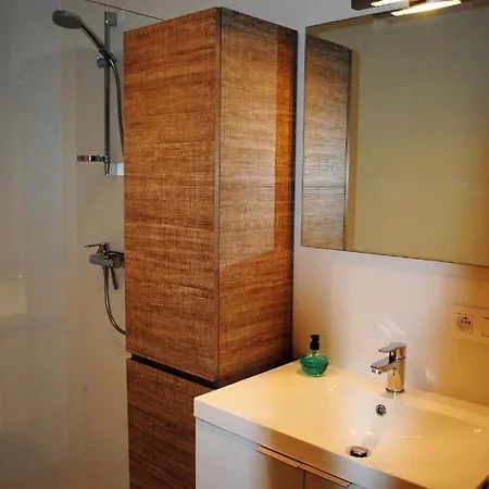 Apartmán Modern, Gezellig Met Ruim Terras En Garage In